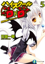 High School DxD 5 Light novel
