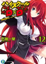 High School DxD 12 Light novel