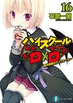 High School DxD 16 Light novel