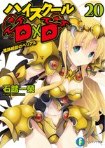 High School DxD 20 Light novel