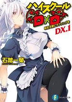 High School DxD DX 1 Light novel