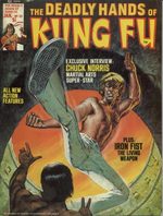Deadly Hands Of Kung Fu # 20