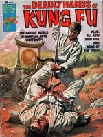 Deadly Hands Of Kung Fu 21