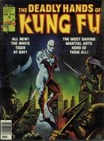 Deadly Hands Of Kung Fu # 22