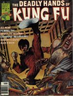 Deadly Hands Of Kung Fu # 26