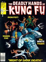 Deadly Hands Of Kung Fu 31