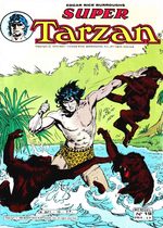 Super Tarzan # 19