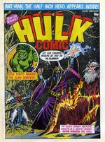 Hulk Comic 27