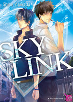 Sky Link 1