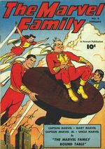 The Marvel Family 8