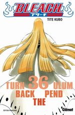 Bleach 36 Manga