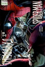 Daredevil / Spider-Man 3