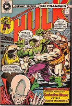 L'Incroyable Hulk 23