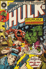 L'Incroyable Hulk 31