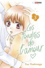 Les foudres de l'amour 3 Manga