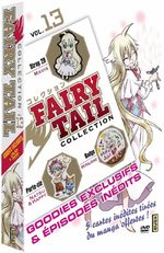 Fairy Tail Collection 13 Série TV animée