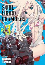 couverture, jaquette Soul Liquid Chambers 3