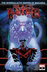 couverture, jaquette Black Panther Issues V7 (2018 - 2021) 11