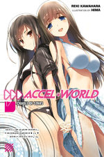 Accel World 17