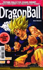 Dragon Ball # 22