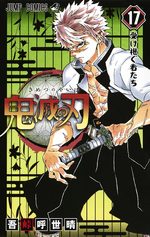 Demon slayer 17 Manga