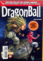 Dragon Ball 33