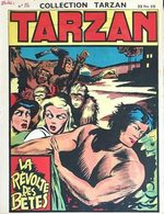 Tarzan # 22
