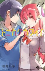 Tonikaku Kawaii 12 Manga