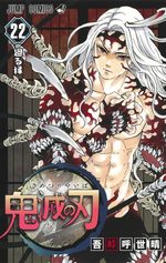 Demon slayer 22 Manga