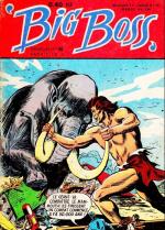 Big Boss 46