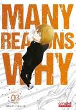 Many Reasons Why 3 Manga