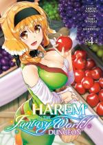 couverture, jaquette Harem in the Fantasy World Dungeon 4