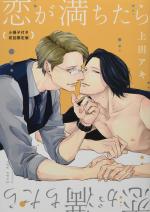 L'amour tombé du ciel 2 Manga