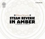 Steam Reverie in Amber 1