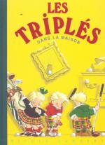 Les triplés 2