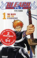 Bleach 1