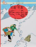 Tintin (Les aventures de) 20