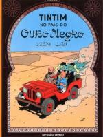 Tintin (Les aventures de) 15