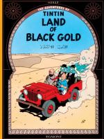 Tintin (Les aventures de) 15