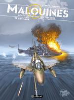 Malouines, le ciel appartient aux Faucons 1