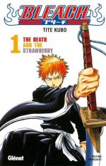 Bleach 1