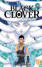 Black Clover 30 Manga