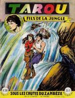 Tarou, fils de la jungle 38