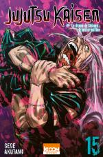 Jujutsu Kaisen 15 Manga