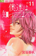 A Romantic Love Story 11 Manga