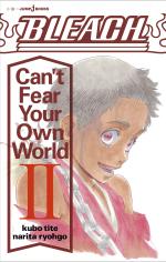 couverture, jaquette Bleach: Can't Fear Your Own World 2
