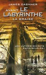 Avant le labyrinthe 5