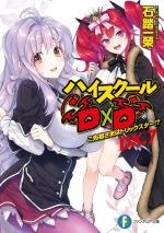 High School DxD DX 7 Light novel