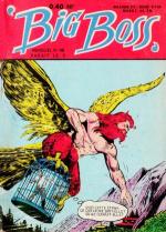 Big Boss 48