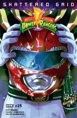 Mighty Morphin Power Rangers 25